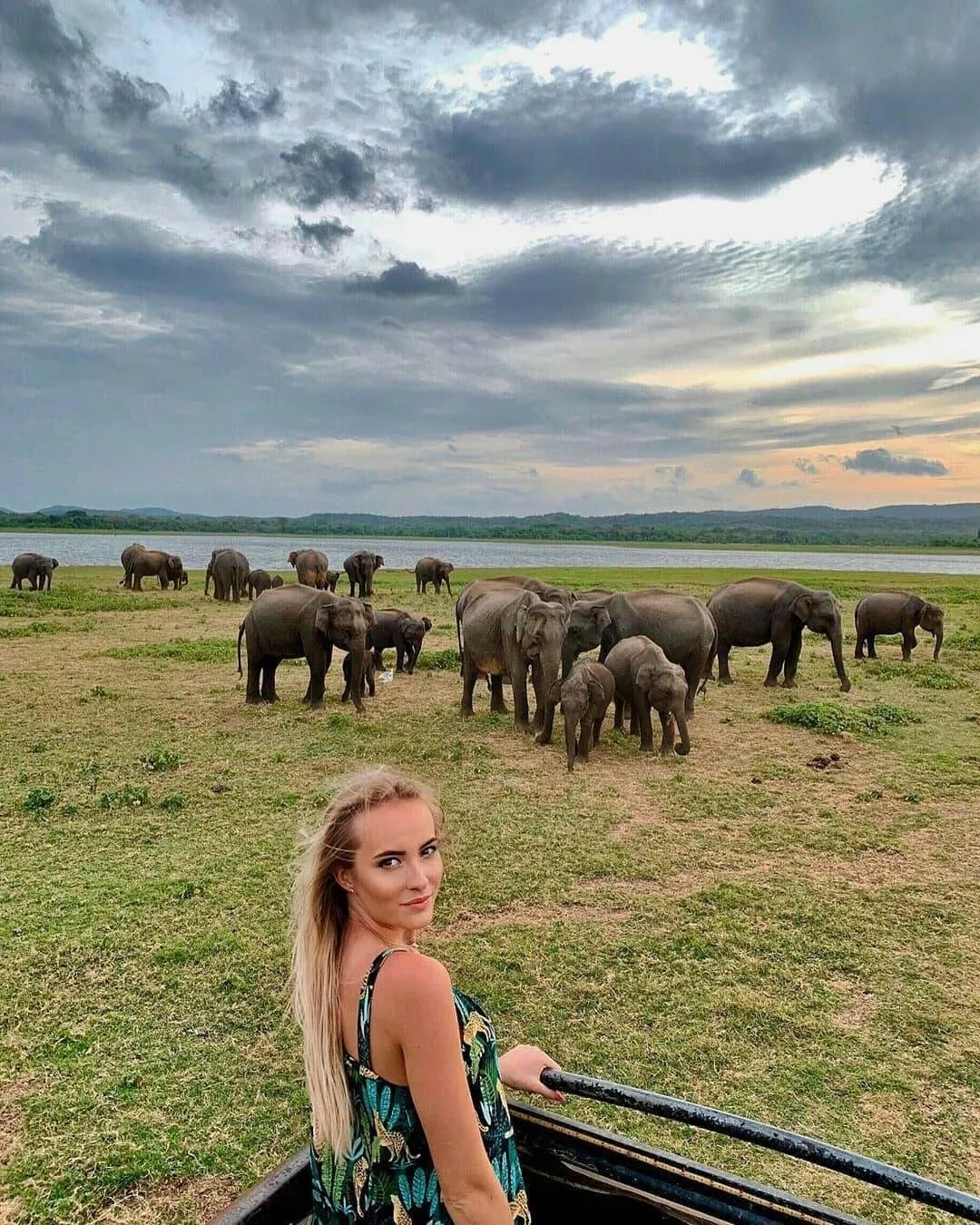 Elephants gather near water beneath a wide evening sky.