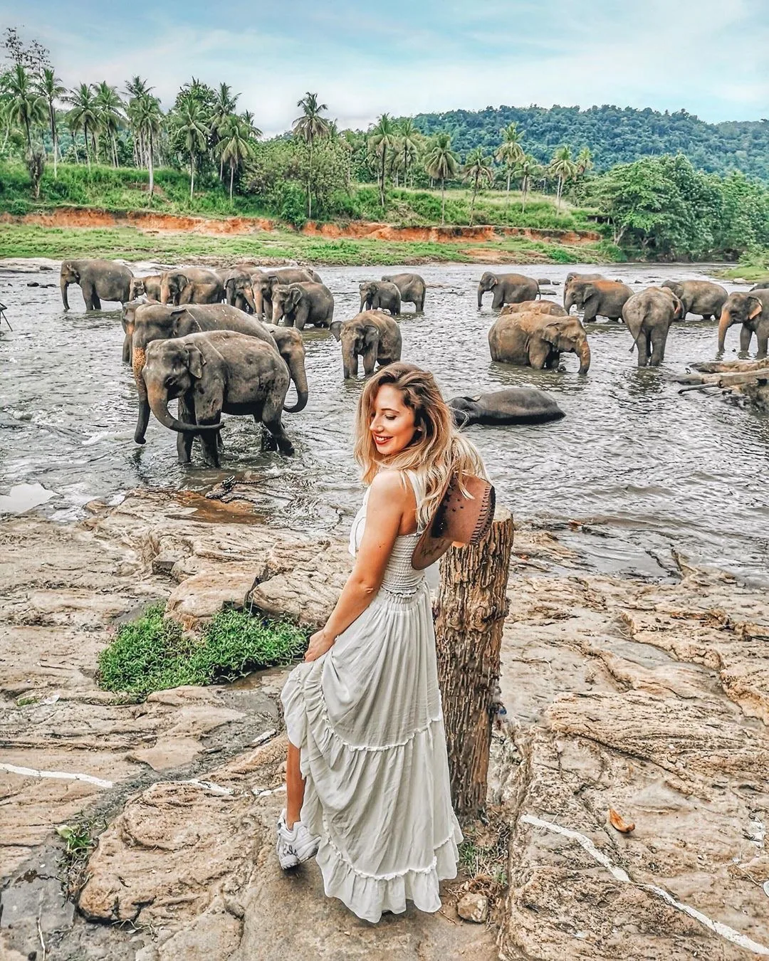 A visitor watches elephants gather in a shallow river.