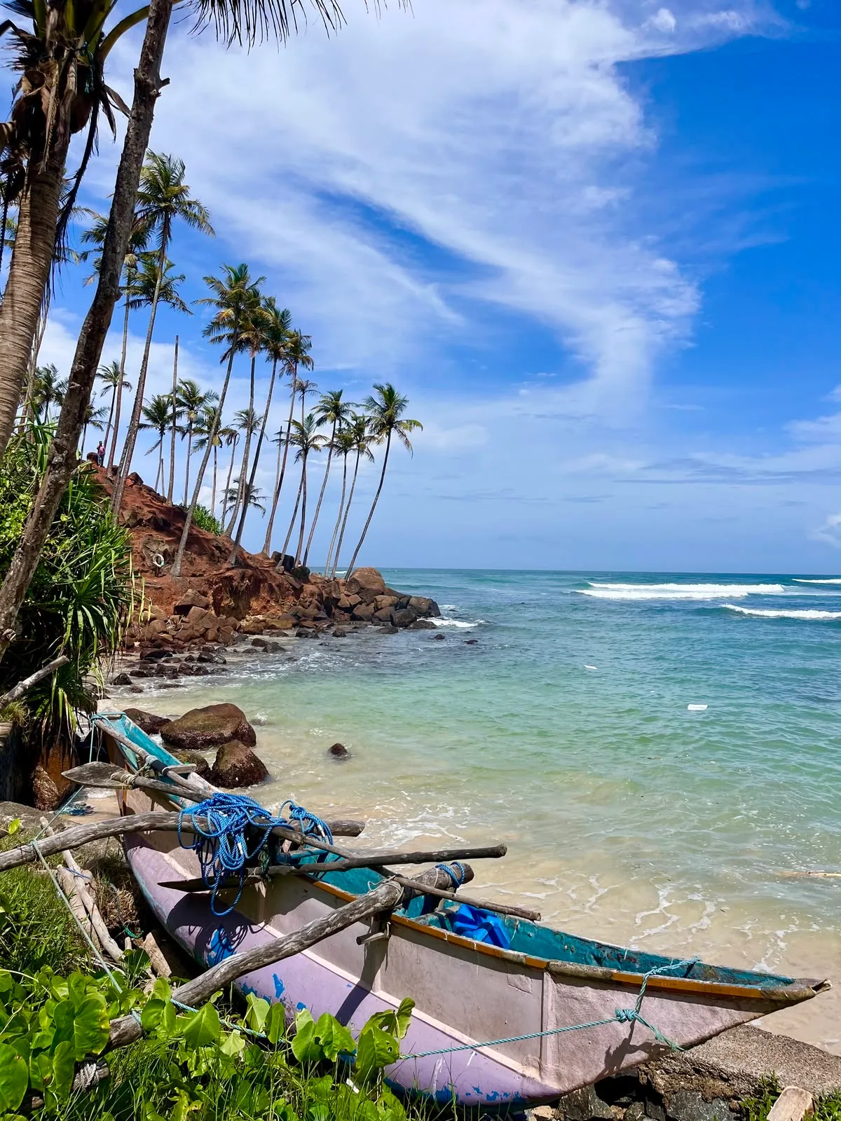 A small fishing boat rests beneath palms beside a calm southern beach.