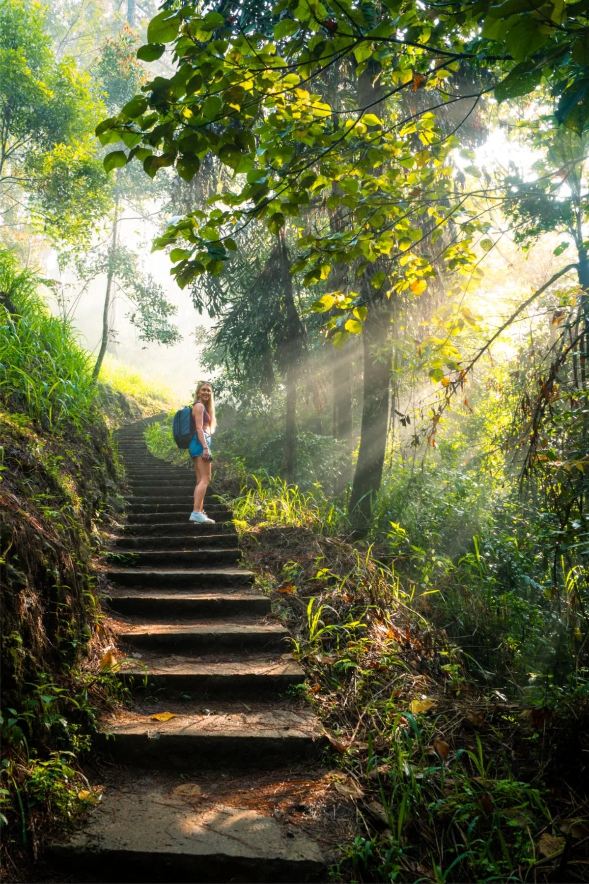 Stone steps wind through a sunlit rainforest trail in Sri Lanka.