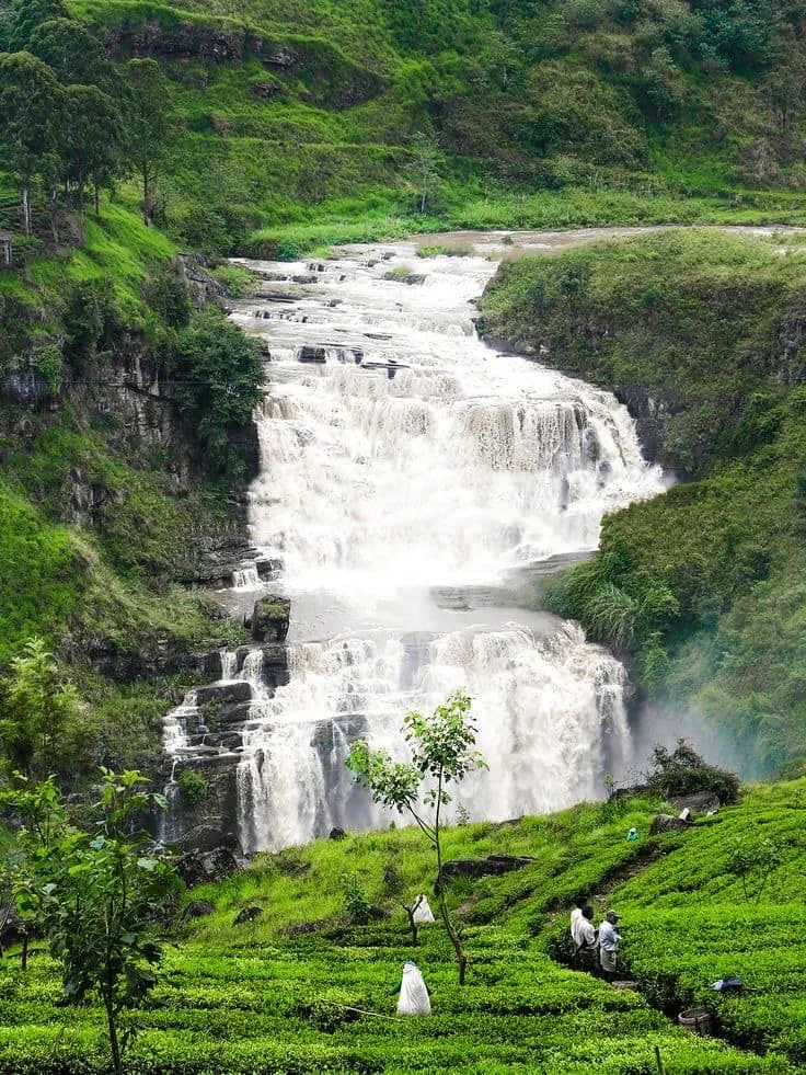 A tiered waterfall cuts through vivid green tea fields in the central highlands.