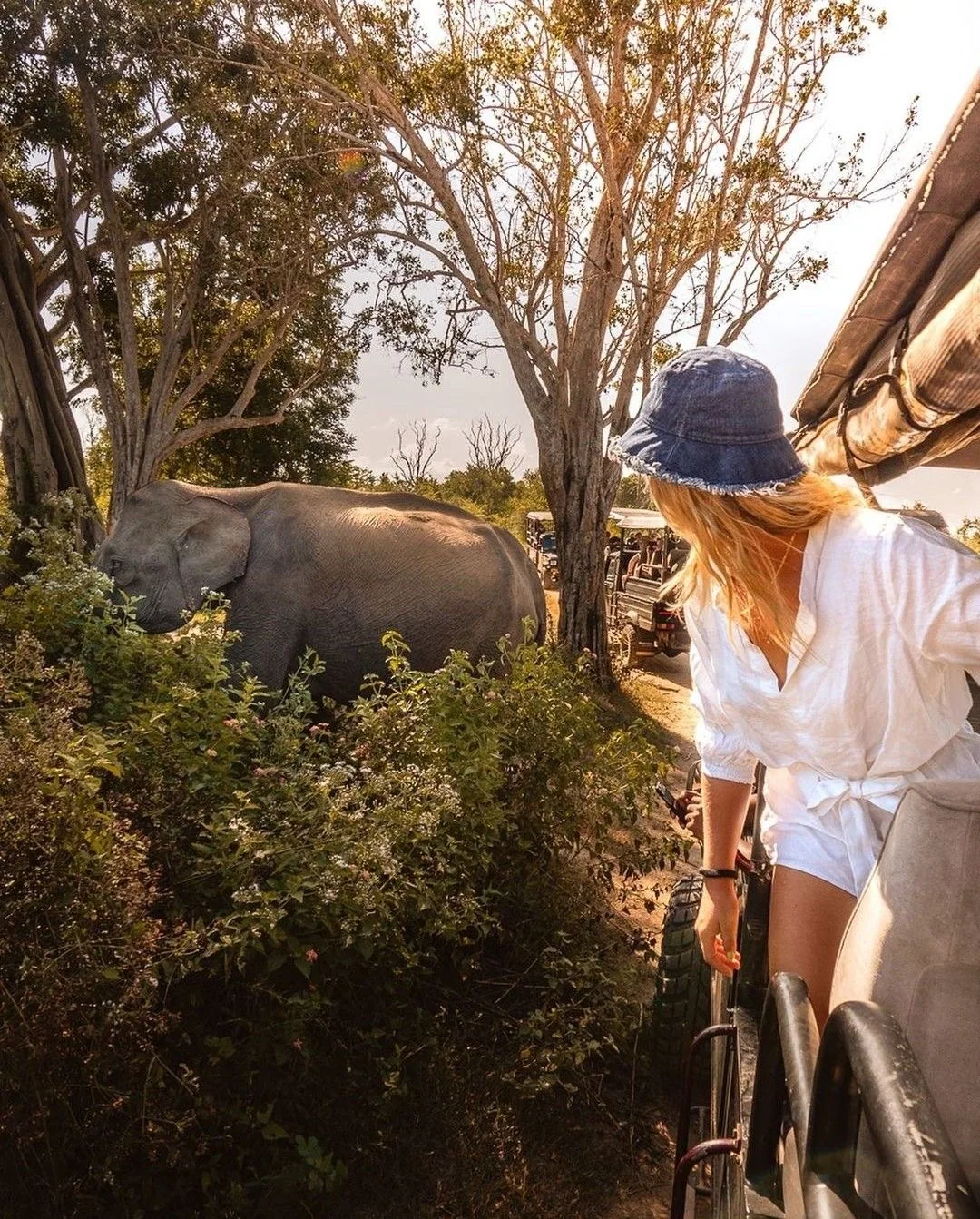 A traveler watches an elephant at close range from a safari vehicle.
