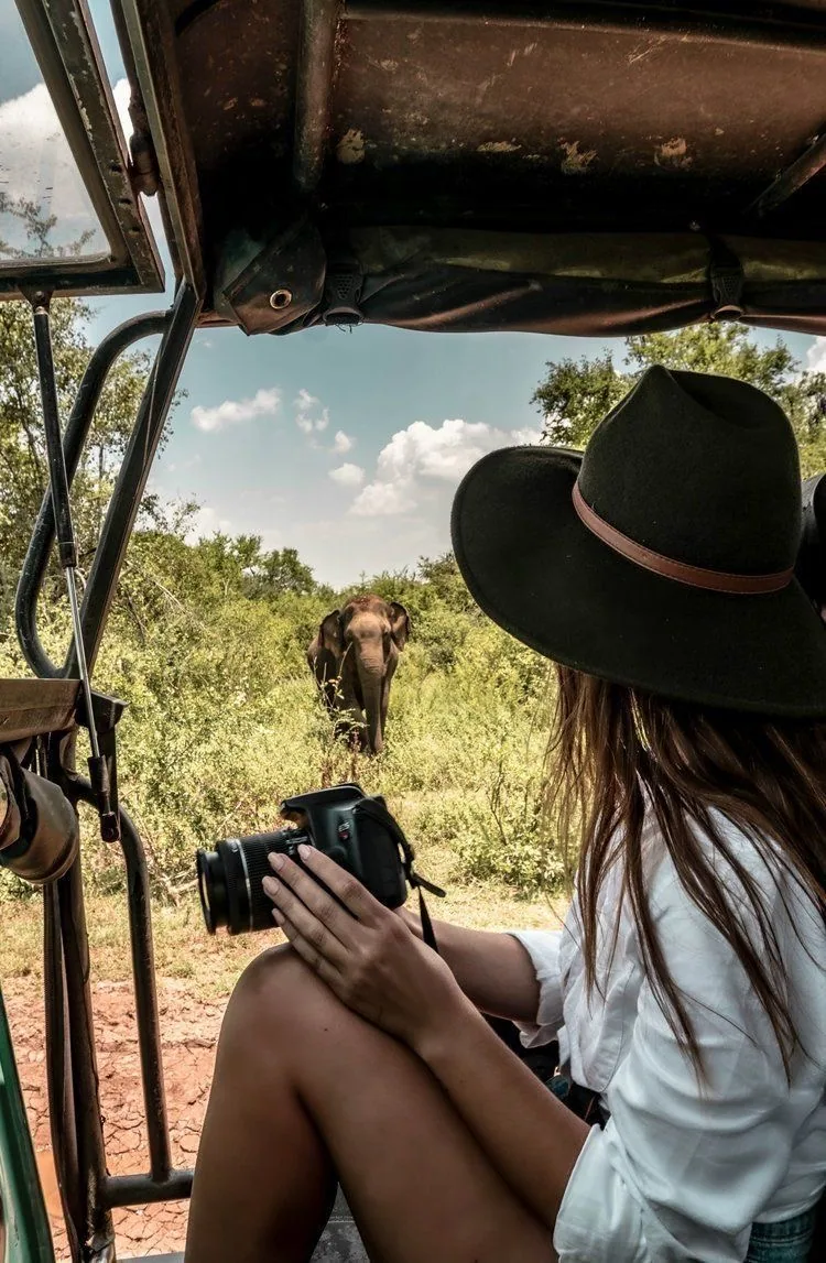 A safari guest photographs an elephant from the shade of a park vehicle.